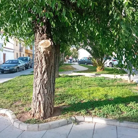 Apartment San Miguel Baena
